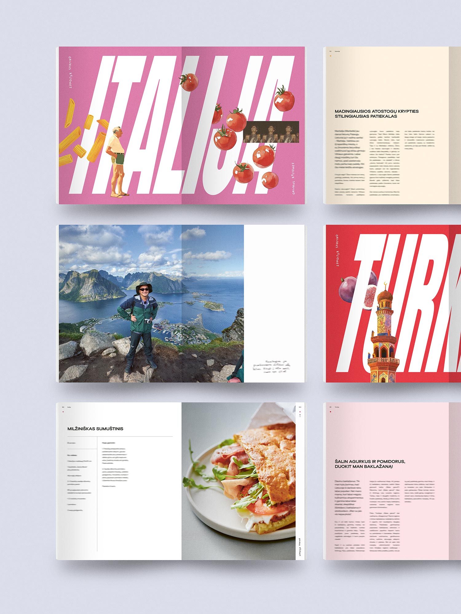 Knyga - Orijaus kelionės. Receptai.