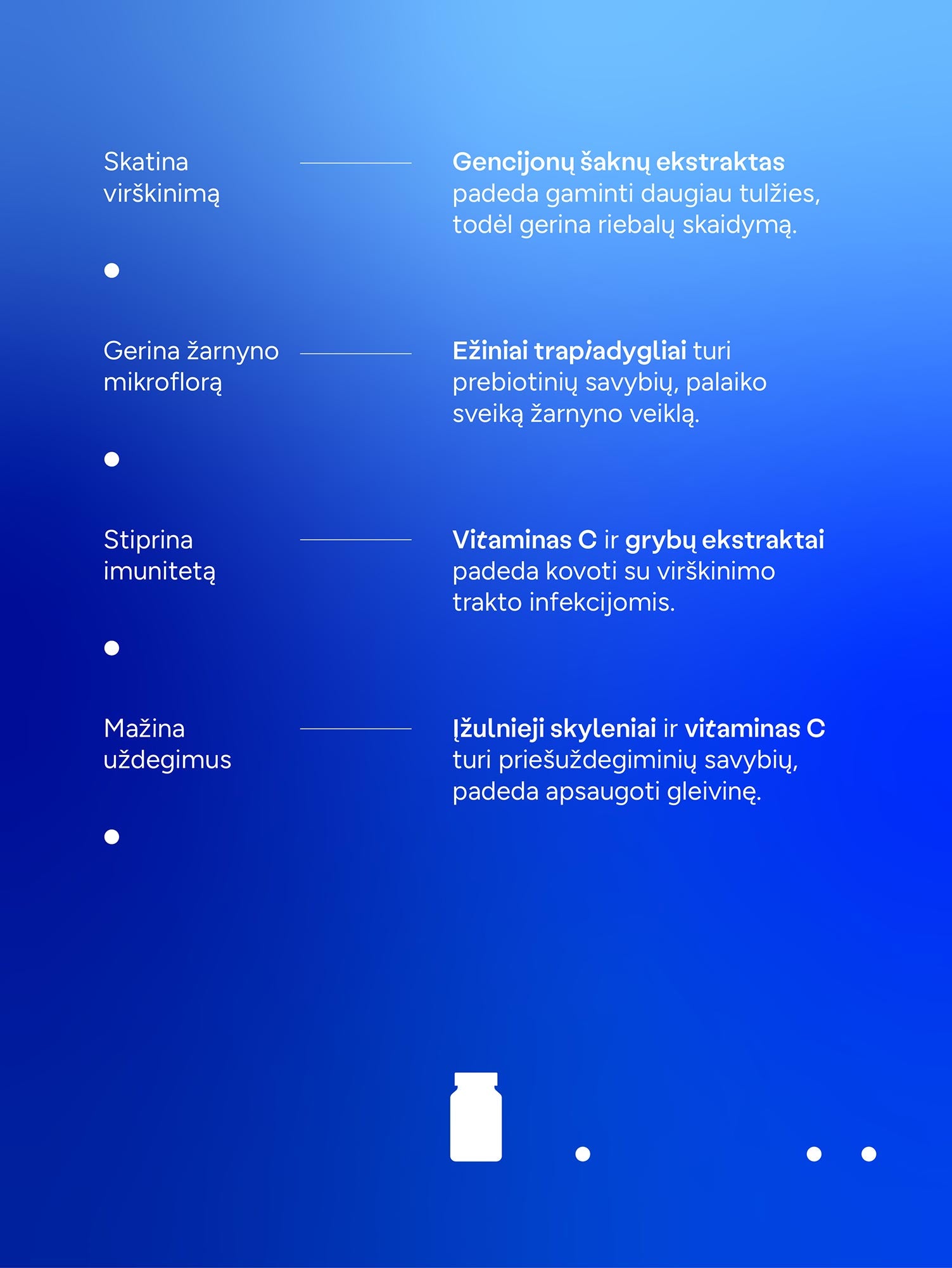 Kelionių maisto papildas GERESNIAM VIRŠKINIMUI (30 kaps.)